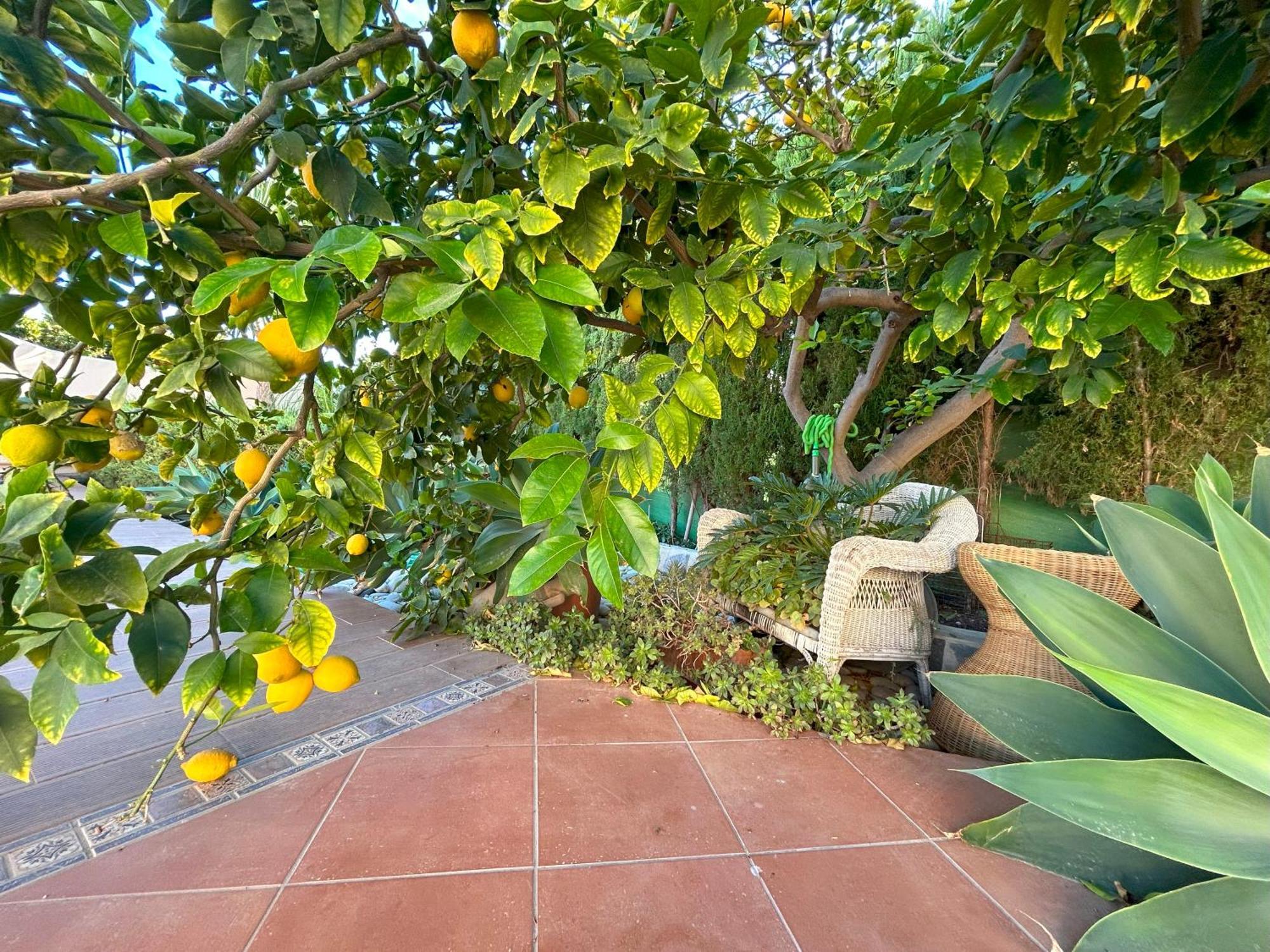 Casa Luna Llena カルプ エクステリア 写真